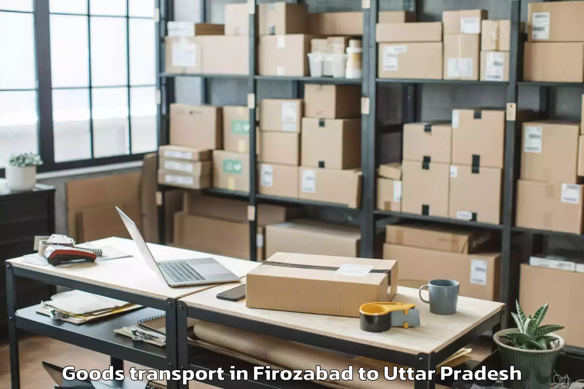 Reliable Firozabad to Teerthanker Mahaveer Universit Goods Transport